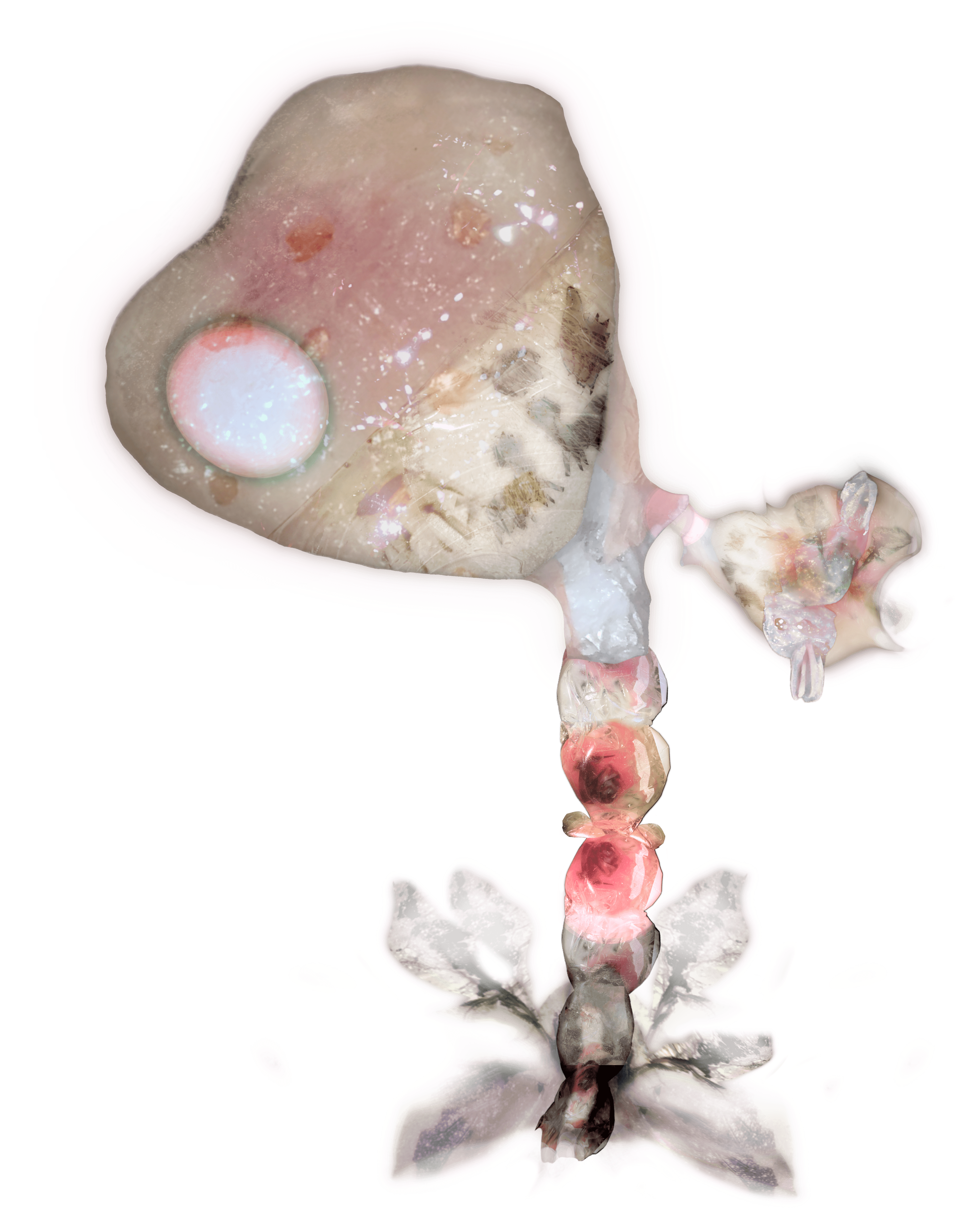 Auto-generated description: A surreal and abstract artwork features organic shapes and textures, resembling a blend of biological and floral elements with pink and white hues.