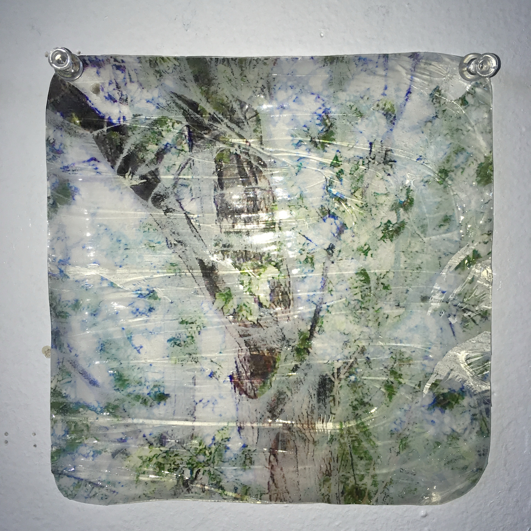 A translucent sheet, featuring an abstract design of trees and foliage, is pinned against a white wall.