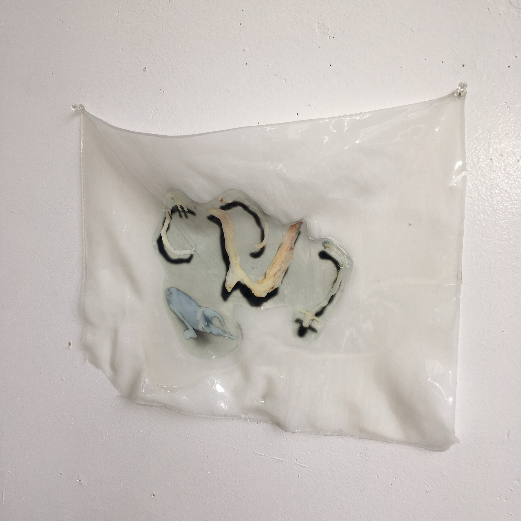 A translucent, draped material on a wall encapsulates abstract forms and textures.